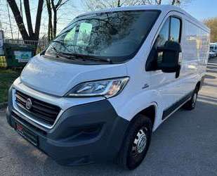 Fiat Ducato Gebrauchtwagen
