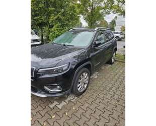 Jeep Cherokee Gebrauchtwagen