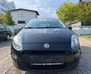 Fiat Punto Gebrauchtwagen