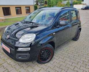 Fiat New Panda Gebrauchtwagen