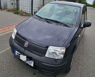 Fiat Panda Gebrauchtwagen