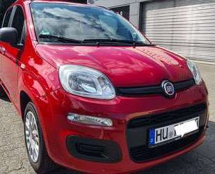 Fiat Panda Gebrauchtwagen