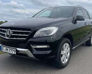 Mercedes-Benz ML 250 Gebrauchtwagen