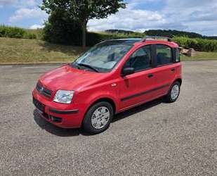 Fiat Panda Gebrauchtwagen