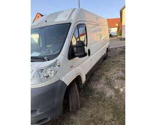 Fiat Ducato Gebrauchtwagen