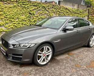 Jaguar XE Gebrauchtwagen