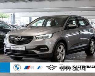 Opel Grandland X Gebrauchtwagen