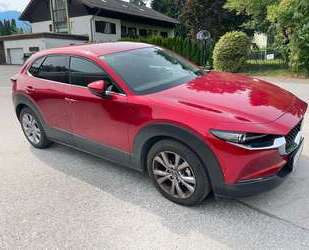 Mazda CX-30 Gebrauchtwagen