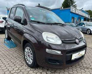 Fiat Panda Gebrauchtwagen