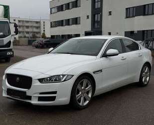 Jaguar XE Gebrauchtwagen