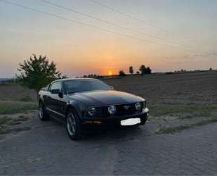 Ford Mustang Gebrauchtwagen