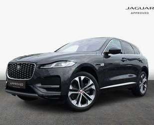 Jaguar F-Pace Gebrauchtwagen