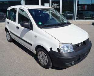 Fiat Panda Gebrauchtwagen