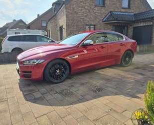 Jaguar XE Gebrauchtwagen