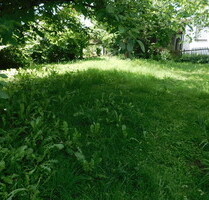 Sonniges Baugrundstück für DHH in 83404 Ainring - kein Bauzwang - derzeit 6.120 Euro Mieteinnahmen