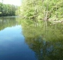 Haus 60m2 generalsaniert mit eigenem See - Colditz