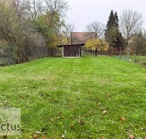 Attraktives Baugrundstück in Seckach-Großeichholzheim – voll erschlossen und vielseitig nutzbar - Seckach / Großeicholzheim