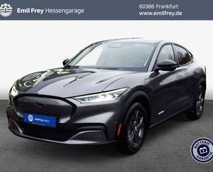 Ford Mustang Mach-E Gebrauchtwagen