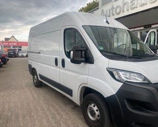 Fiat Ducato Gebrauchtwagen
