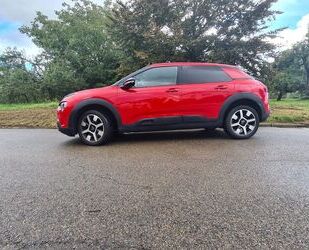 Citroen C4 Cactus Gebrauchtwagen