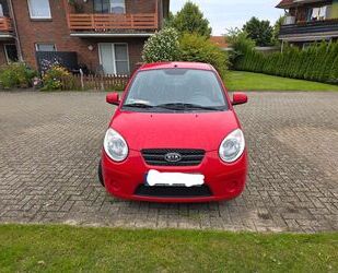 Kia Picanto Gebrauchtwagen