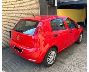Fiat Punto Gebrauchtwagen