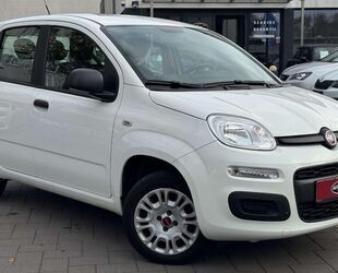 Fiat Panda Gebrauchtwagen