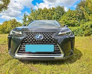 Lexus UX Gebrauchtwagen