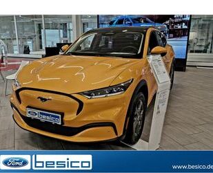 Ford Mustang Mach-E Gebrauchtwagen