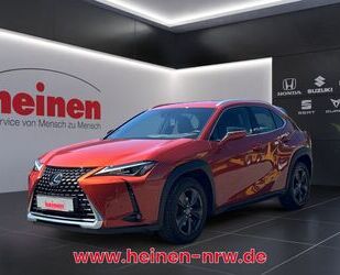 Lexus UX Gebrauchtwagen
