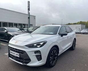 Cupra Terramar Gebrauchtwagen