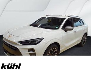 Cupra Terramar Gebrauchtwagen