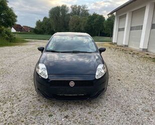 Fiat Punto Gebrauchtwagen