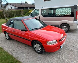 Ford Escort Gebrauchtwagen