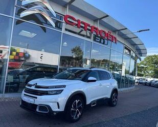 Citroen C5 Aircross Gebrauchtwagen