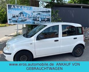 Fiat Panda Gebrauchtwagen