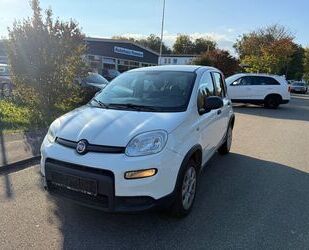 Fiat Panda Gebrauchtwagen