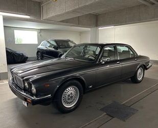 Jaguar Daimler Gebrauchtwagen