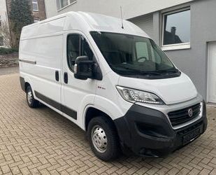 Fiat Ducato Gebrauchtwagen
