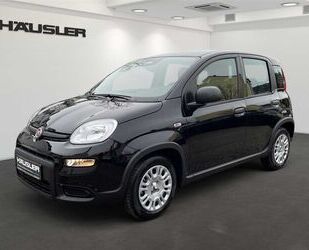 Fiat Panda Gebrauchtwagen