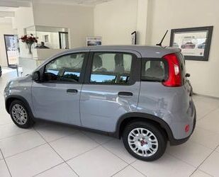 Fiat Panda Gebrauchtwagen