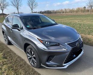 Lexus NX 300 Gebrauchtwagen