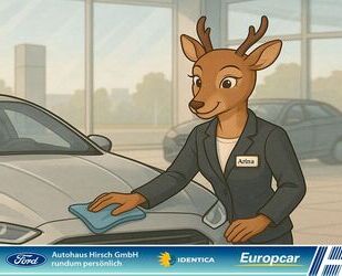 Ford Edge Gebrauchtwagen