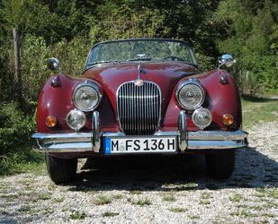 Jaguar XK Gebrauchtwagen