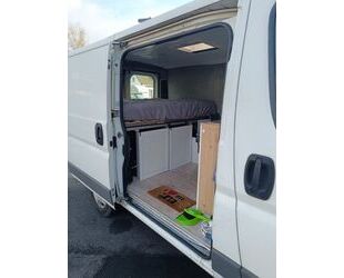 Fiat Ducato Gebrauchtwagen