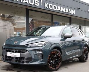 Cupra Terramar Gebrauchtwagen