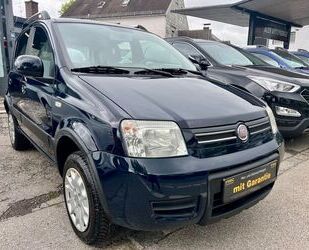 Fiat Panda Gebrauchtwagen