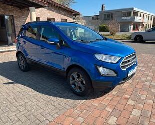 Ford EcoSport Gebrauchtwagen