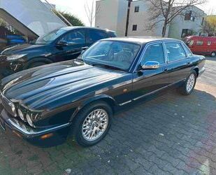 Jaguar XJ8 Gebrauchtwagen