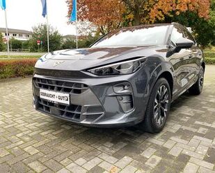 Cupra Terramar Gebrauchtwagen